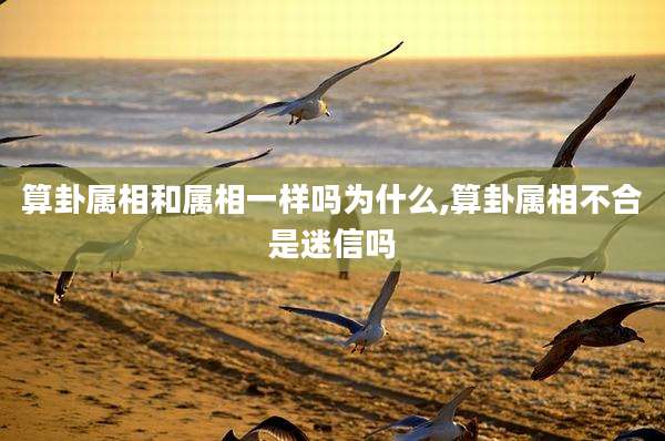 算卦属相和属相一样吗为什么,算卦属相不合是迷信吗