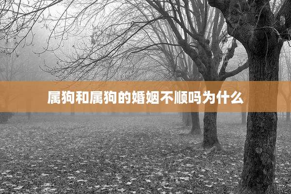 属狗和属狗的婚姻不顺吗为什么