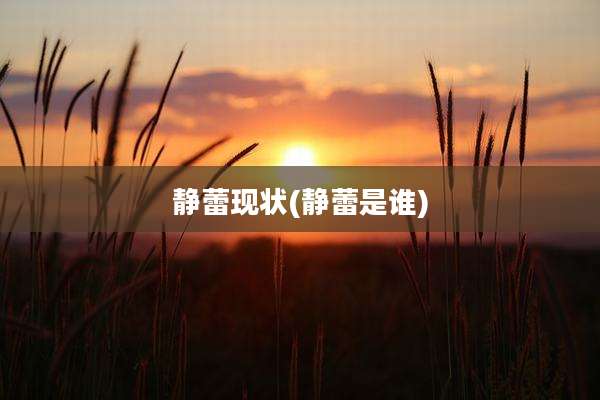 静蕾现状(静蕾是谁)