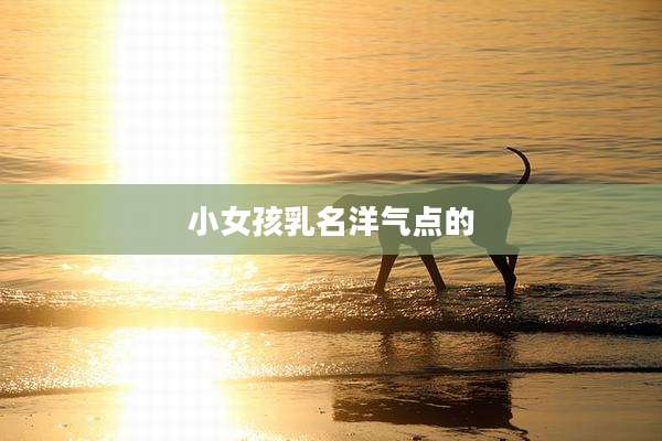 小女孩乳名洋气点的