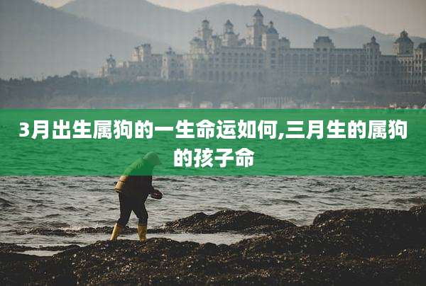 3月出生属狗的一生命运如何,三月生的属狗的孩子命