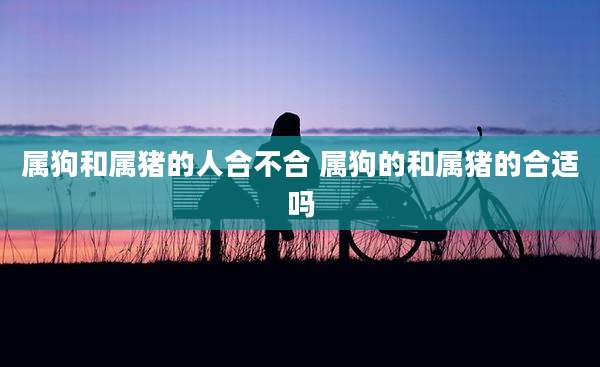 属狗和属猪的人合不合 属狗的和属猪的合适吗