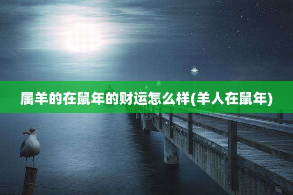属羊的在鼠年的财运怎么样(羊人在鼠年)