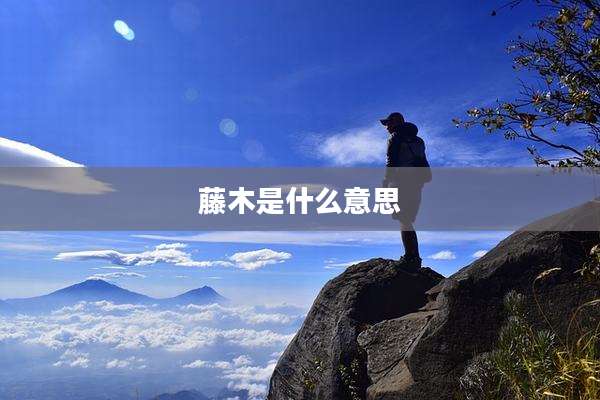藤木是什么意思