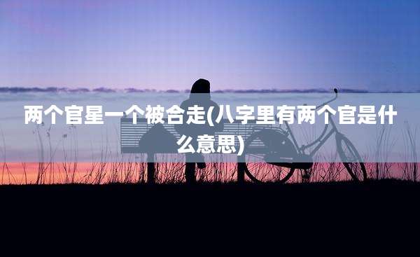 两个官星一个被合走(八字里有两个官是什么意思)