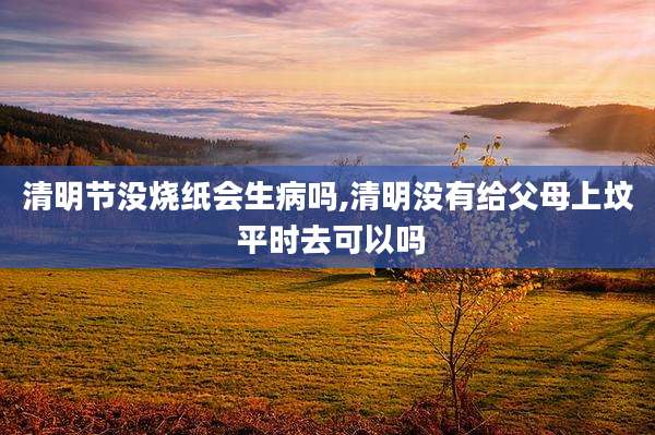 清明节没烧纸会生病吗,清明没有给父母上坟 平时去可以吗