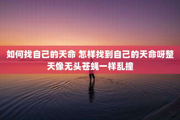 如何找自己的天命 怎样找到自己的天命呀整天像无头苍蝇一样乱撞
