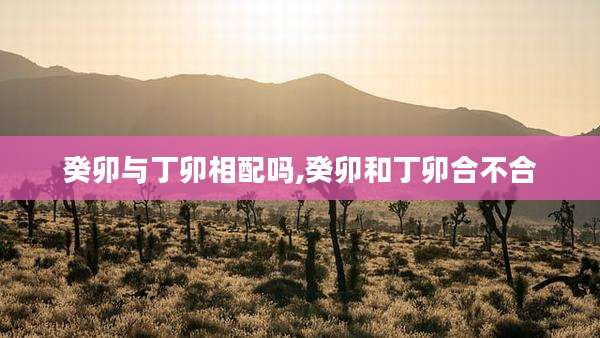 癸卯与丁卯相配吗,癸卯和丁卯合不合