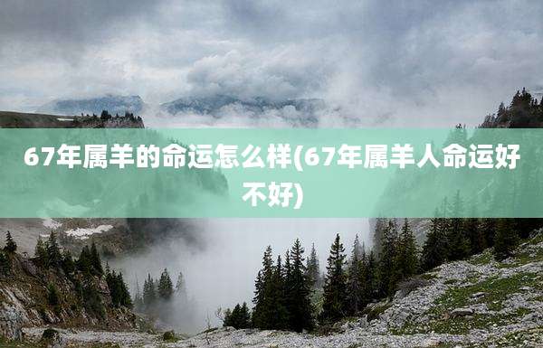 67年属羊的命运怎么样(67年属羊人命运好不好)