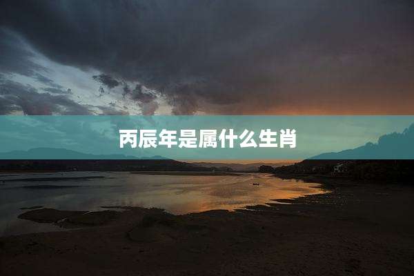 丙辰年是属什么生肖