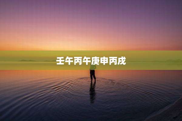 壬午丙午庚申丙戌