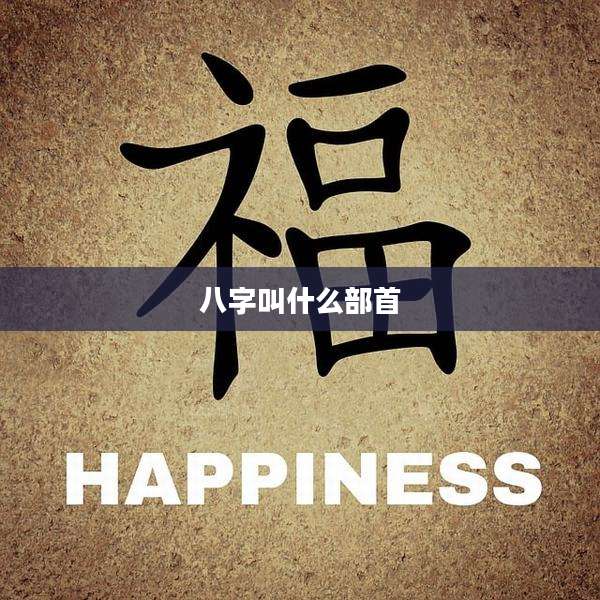 八字叫什么部首