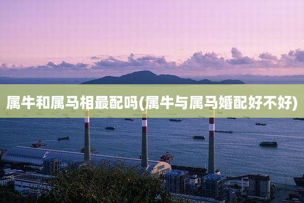属牛和属马相最配吗(属牛与属马婚配好不好)