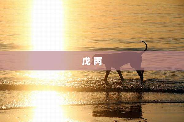 戊 丙