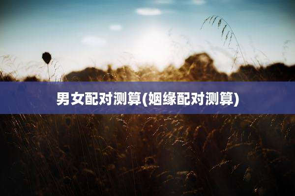 男女配对测算(姻缘配对测算)