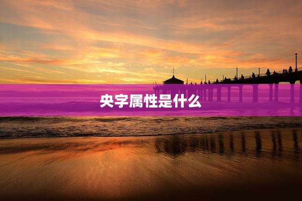 央字属性是什么