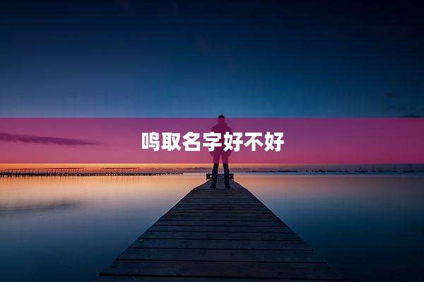 鸣取名字好不好