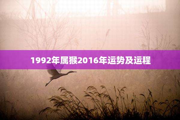1992年属猴2016年运势及运程