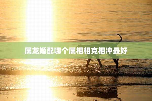 属龙婚配哪个属相相克相冲最好