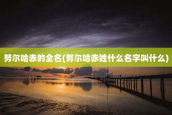 努尔哈赤的全名(努尔哈赤姓什么名字叫什么)