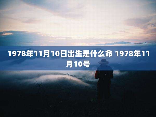 1978年11月10日出生是什么命 1978年11月10号