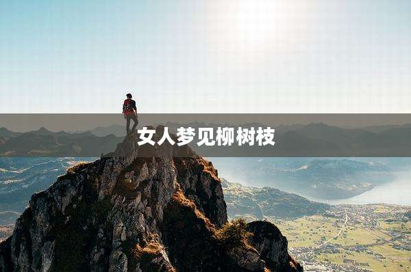 女人梦见柳树枝