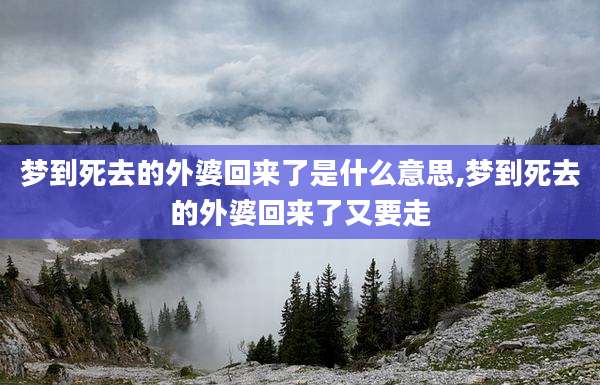 梦到死去的外婆回来了是什么意思,梦到死去的外婆回来了又要走