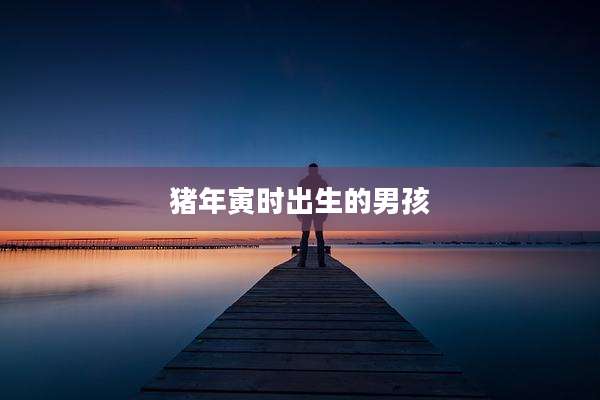 猪年寅时出生的男孩