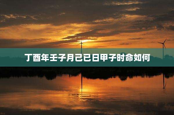 丁酉年壬子月己已日甲子时命如何