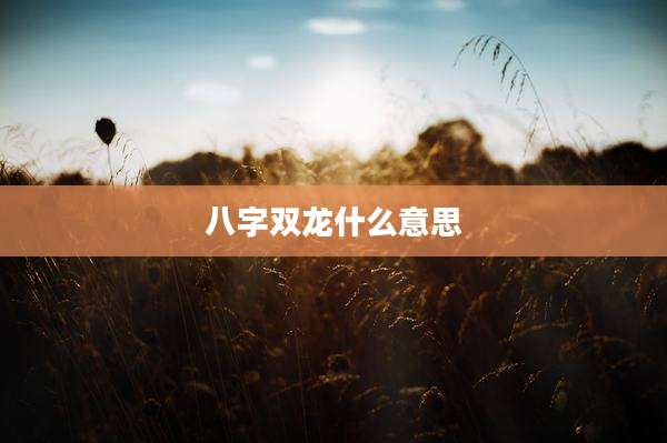 八字双龙什么意思