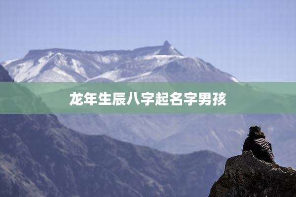 龙年生辰八字起名字男孩