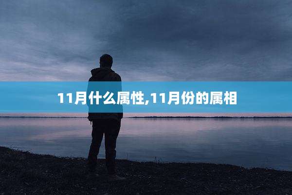 11月什么属性,11月份的属相
