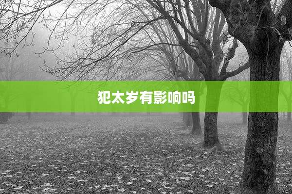 犯太岁有影响吗