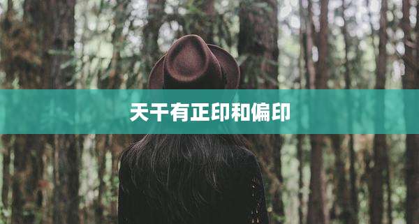 天干有正印和偏印