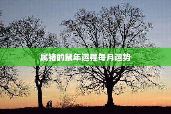 属猪的鼠年运程每月运势