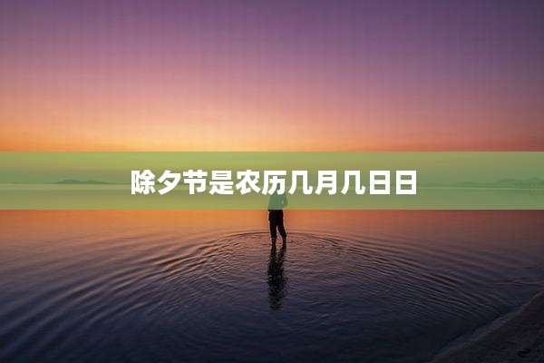 除夕节是农历几月几日日