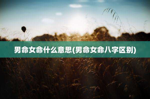 男命女命什么意思(男命女命八字区别)