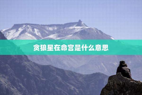 贪狼星在命宫是什么意思