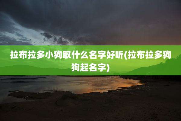 拉布拉多小狗取什么名字好听(拉布拉多狗狗起名字)