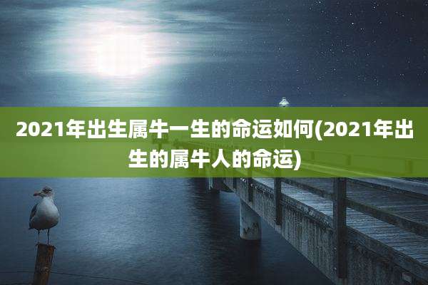 2021年出生属牛一生的命运如何(2021年出生的属牛人的命运)