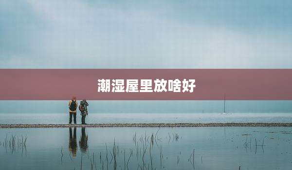 潮湿屋里放啥好