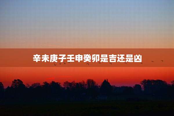辛未庚子壬申癸卯是吉还是凶