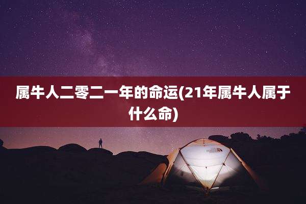 属牛人二零二一年的命运(21年属牛人属于什么命)
