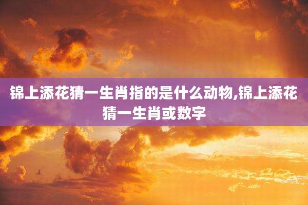 锦上添花猜一生肖指的是什么动物,锦上添花猜一生肖或数字