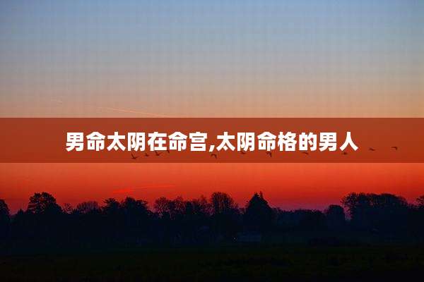 男命太阴在命宫,太阴命格的男人