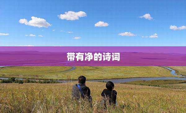 带有净的诗词