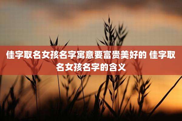 佳字取名女孩名字寓意要富贵美好的 佳字取名女孩名字的含义