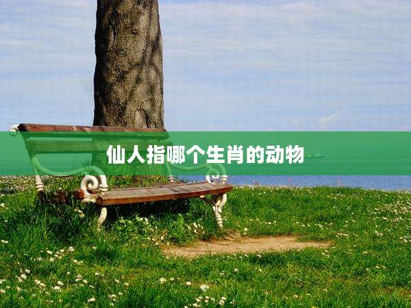 仙人指哪个生肖的动物
