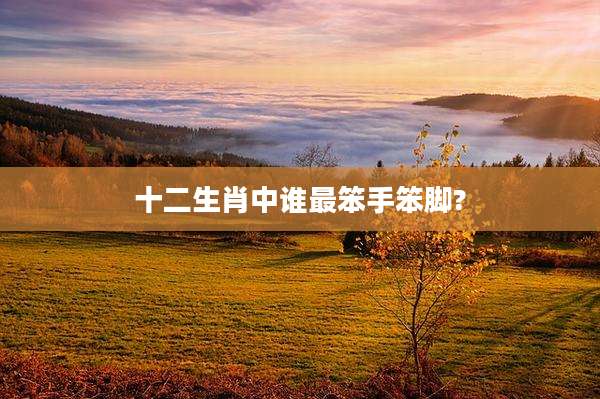 十二生肖中谁最笨手笨脚?