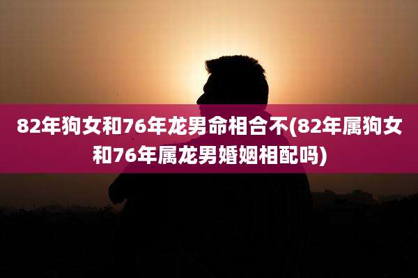 82年狗女和76年龙男命相合不(82年属狗女和76年属龙男婚姻相配吗)